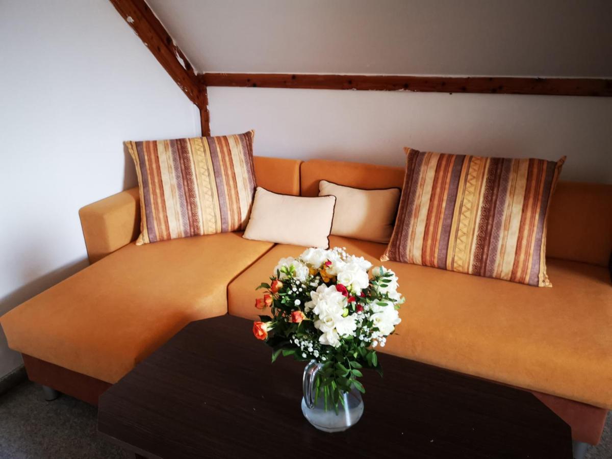 Penzion Tomy Na Plazi Hotel Frymburk Exterior foto