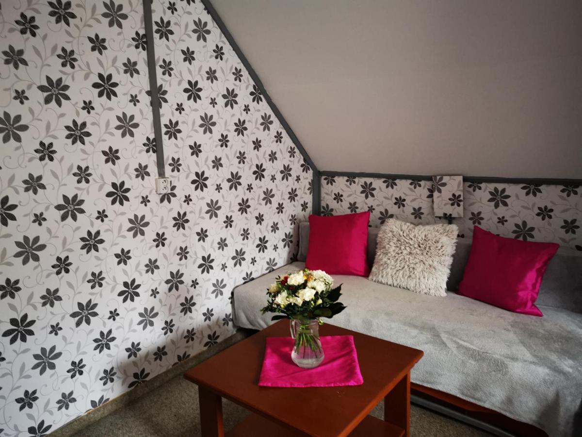 Penzion Tomy Na Plazi Hotel Frymburk Exterior foto